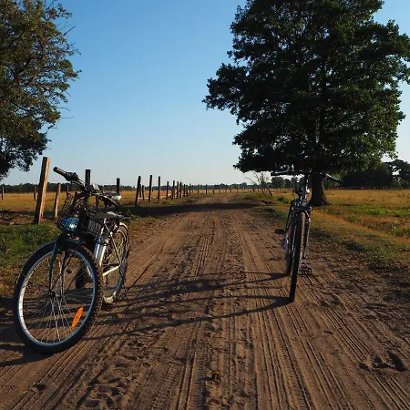 Pod Orzechem * Jarszewko