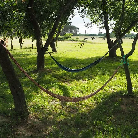 Pod Orzechem Prázdninový dům