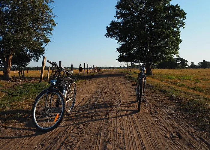 Pod Orzechem * Jarszewko