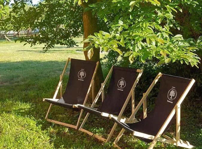 Дом отдыха Pod Orzechem *