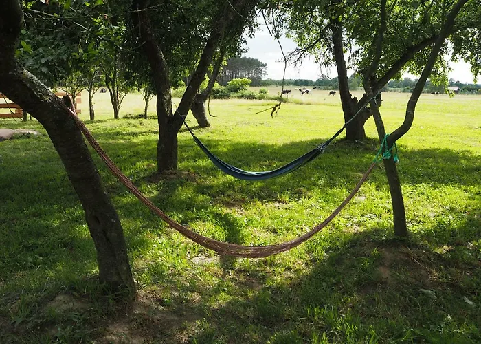 Pod Orzechem Дом отдыха